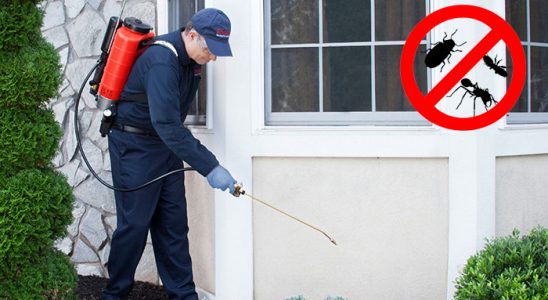 Samsat Hamam Böceği İlaçlama böcek ilaçlama ve haşere kontrolü — ilaclama-tr.com